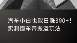 汽车小白也能日入3张!实测懂车帝搬运玩法-AI学习资源网