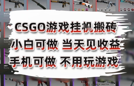 CSGO游戏挂G搬砖，小白纯手机即可操作，不用电脑打游戏，日入3张+，副业网创项目【揭秘】-AI学习资源网