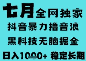 7月最新风口抖音无人直播撸音浪,长期稳定,非短期,全自动运行,低门槛无脑,日入1k+【揭秘】-AI学习资源网