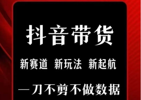 抖音短视频一刀不剪带货，不剪辑，不直播，每天发个视频，等着出单获取带货佣金-AI学习资源网
