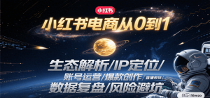 小红书电商从0到1:生态解析/IP定位/ 账号运营/爆款创作/直播带货/数据复盘/风险避坑-AI学习资源网