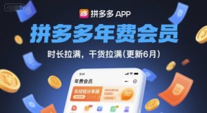 拼多多年费会员,实经验分享操,时长拉满,干货拉满(更新7月)-AI学习资源网