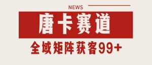 唐卡赛道私域引流获客 自热矩阵SOP日引流99+精准客资-AI学习资源网