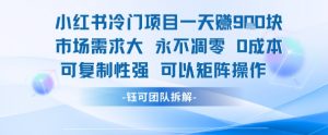 小红书冷门项目一天收益9张,市场需求大,0成本,可复制性强可以矩阵操作-AI学习资源网