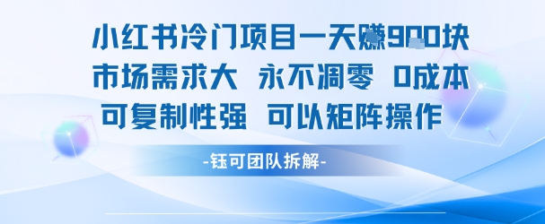 小红书冷门项目一天收益9张，市场需求大，0成本，可复制性强可以矩阵操作-AI学习资源网