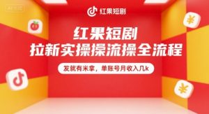 红果短剧拉新实操全流程,发就有米拿,单账号月收入几k-AI学习资源网