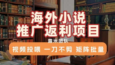 海外小说推广返利项目，视频投喂， 一刀不剪，矩阵批量-AI学习资源网
