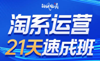 白凤电商·淘系运营21天速成班(更新7月)-AI学习资源网