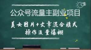 公众号流量主副业项目,美女图片+文章混合模式操作流量爆棚-AI学习资源网