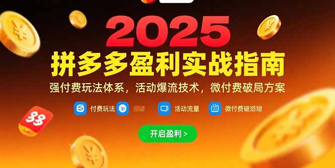 拼多多盈利实战指南，强付费玩法，活动爆流技术，微付费破局方案(更新7月-AI学习资源网