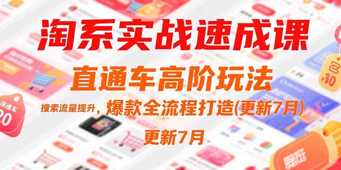 淘系实战速成课，直通车高阶玩法，搜索流量提升，爆款全流程打造(更新7月-AI学习资源网