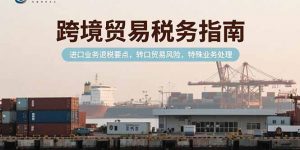 跨境贸易税务指南,进口业务退税要点,转口贸易风险,特殊业务处理-AI学习资源网