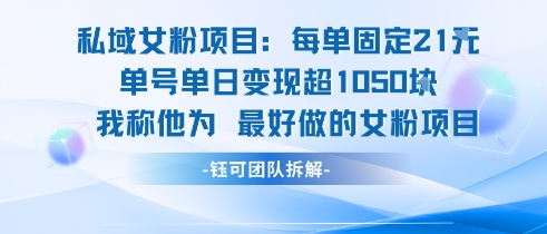 私域女粉项目：每单固定21块，单日变现超1k+，最好做的女粉项目-AI学习资源网