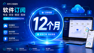 私人订制互联网软件订阅服务–12个月-AI学习资源网