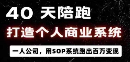 40天陪跑打造个人商业系统，一人公司，用SOP系统跑出百W变现-AI学习资源网