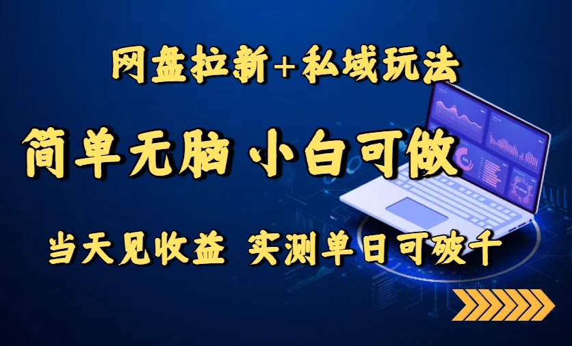网盘拉新+私域玩法，简单无脑，小白可做，当天见收益，实测单日可破千-AI学习资源网