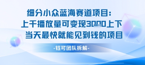 小众蓝海赛道项目：当天变现1k+适合新手操作 +适合长期玩-AI学习资源网
