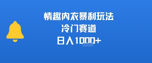情趣内衣暴利玩法，冷门赛道，日入1k+-AI学习资源网