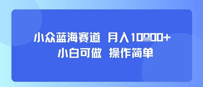 小众蓝海赛道，小白可做，操作简单，每天30分钟，月入1W+-AI学习资源网