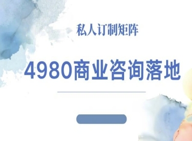 4980商业咨询师落地课程-ip运营高客单教程-AI学习资源网