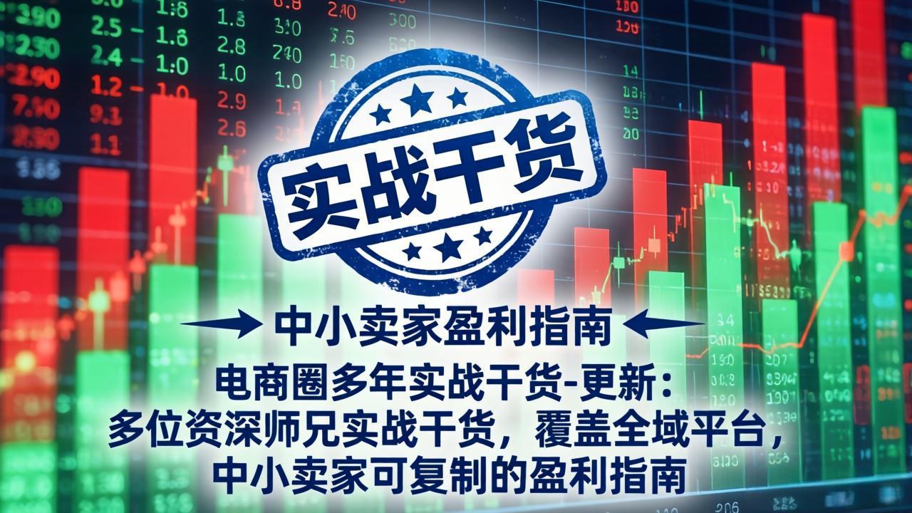 电商圈多年实战干货-更新5月10：多位资深师兄实战干货/覆盖全域平台，中小卖家可复制的盈利指南-AI学习资源网