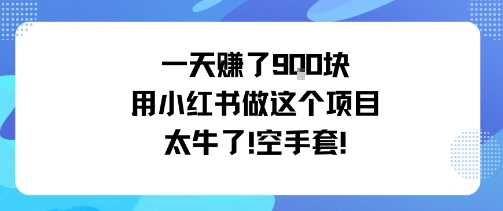 一天挣了9张用小红书做这个项目太牛了，空手套-AI学习资源网