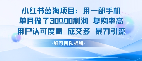 小红书蓝海项目，一部手机单月做了3W利润，小白也能月入过1W用户认可度高成交多-AI学习资源网