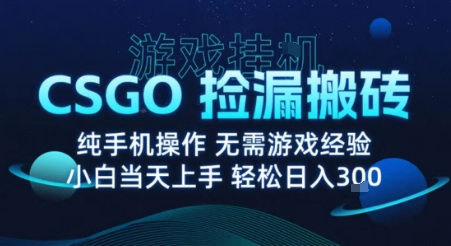 8月最新游戏搬砖，CSGO纯挂G，不需要玩游戏，实现真挂G，月入1W+【揭秘】-AI学习资源网