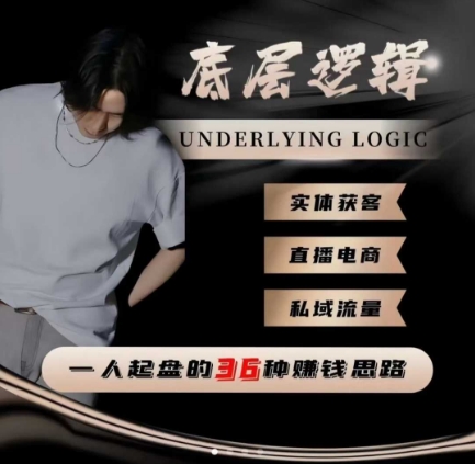 一个人起盘的底层逻辑,私域流量-直播电商-实体获客,一人起盘的36种賺钱思路-AI学习资源网