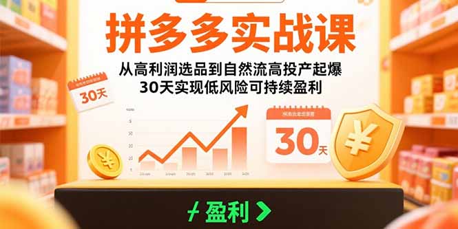 拼多多实战课：从高利润选品到自然流高投产起爆 30天实现低风险可持续盈利-AI学习资源网