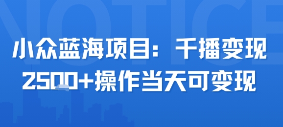 小众蓝海项目，千播变现2.5k+操作当天可变现-AI学习资源网
