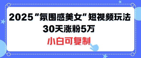 不露脸也能火！2025“氛围感美女”短视频玩法，30天涨粉5W小白可复制-AI学习资源网
