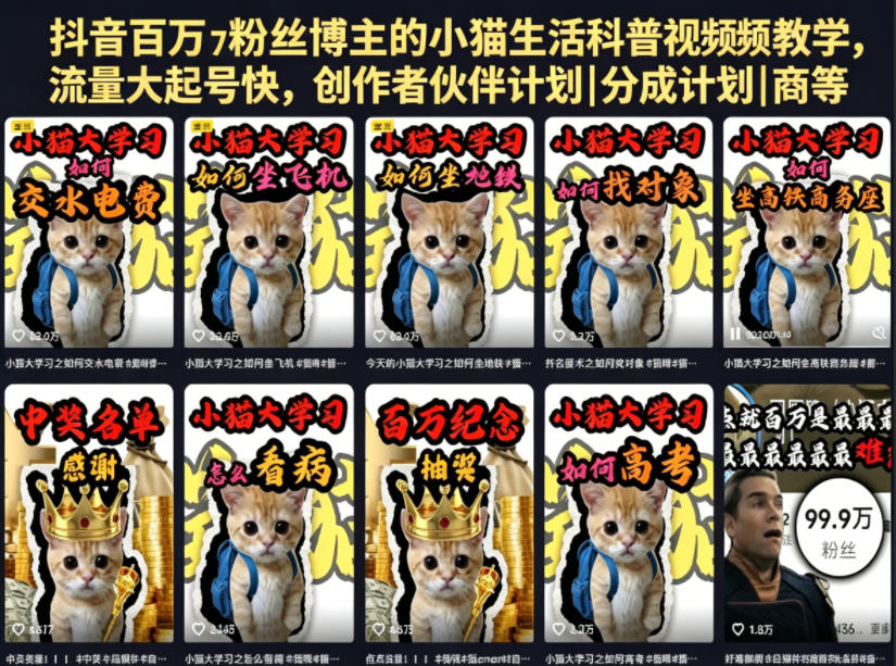 抖音百万粉丝博主的小猫生活科普视频教学，流量大起号快，创作者伙伴计划|分成计划|商单|收徒等-AI学习资源网