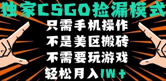CSGO自动捡漏项目，最新独家玩法，不是美区搬砖，不需要了解和玩游戏，新手小白轻松月入1W+【揭秘】-AI学习资源网
