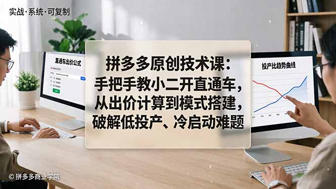拼多多原创技术课：手把手教小二开直通车，从出价计算到模式搭建，破解低投产、冷启动难题-AI学习资源网