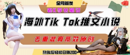 海外tiktok小说推文暴力项目，高停留率，高转化率，上手后一天搞顿饭钱不是问题-AI学习资源网