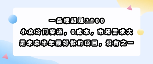一条视频挣1k，小众冷门赛道，0成本，市场需求大，是未来半年最好做的项目，没有之一-AI学习资源网