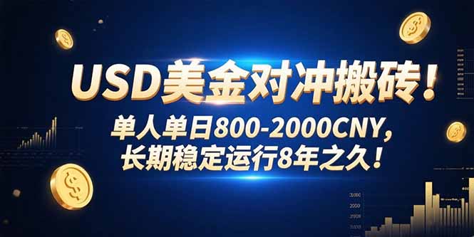 USD美金对冲搬砖!单人单日800-2000CNY，长期稳定运行8年之久!-AI学习资源网