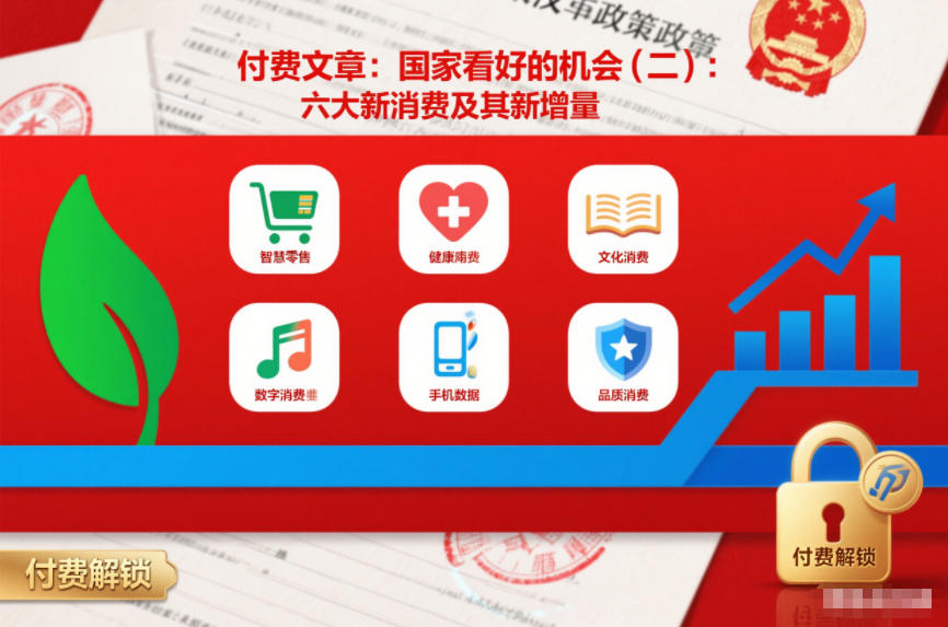 付费文章：国家看好的机会(二)：六大新消费及其新增量-AI学习资源网
