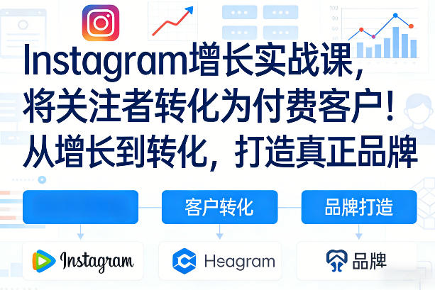 Instagram增长实战课,将关注者转化为付费客户!从增长到转化,打造真正品牌(双语字幕)-AI学习资源网