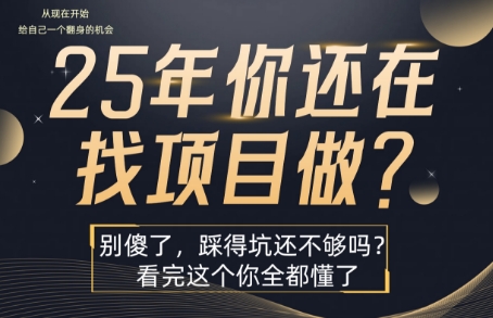 25年，你还在疯狂的找项目吗？别傻了，看完这个你都懂了【揭秘】-AI学习资源网