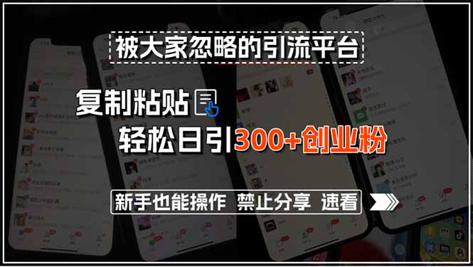 被大家忽略的引流平台，复制粘贴轻松日引300+创业粉，新手也能操作，禁…-AI学习资源网
