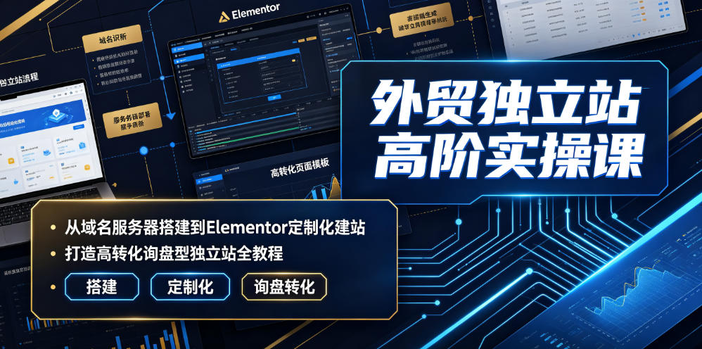 外贸独立站高阶实操课|从域名服务器搭建到Elementor定制化建站,打造高转化询盘型独立站全教程-AI学习资源网