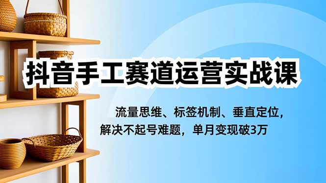抖音手工赛道运营实战课,流量思维、标签机制、垂直定位,解决不起号难题,单月变现破3万-AI学习资源网
