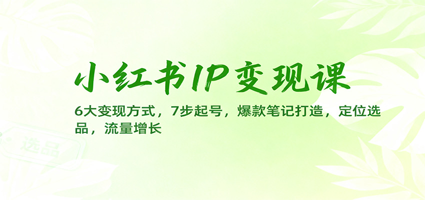 小红书IP变现课:6大变现方式,7步起号,爆款笔记打造,定位选品,流量增长-AI学习资源网