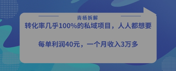 转化率最高的私域项目，每单利润40-50米，月入过1w-AI学习资源网