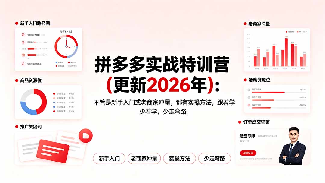 拼多多实战特训营(更新2026年-AI学习资源网