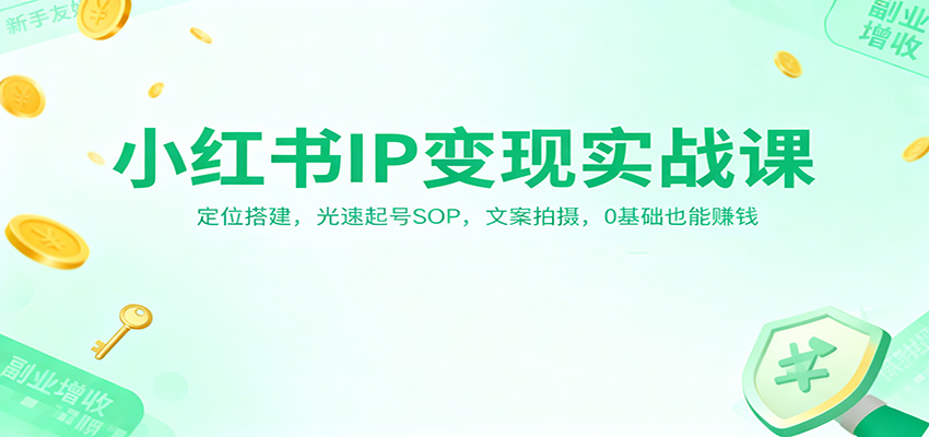 小红书IP变现实战课：定位搭建，光速起号SOP，文案拍摄，0基础也能赚钱-AI学习资源网
