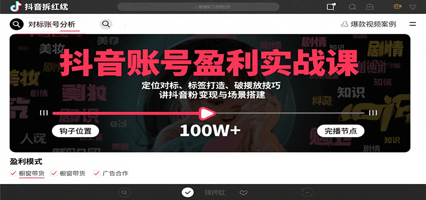 抖音账号盈利实战课，定位对标、标签打造、破播放技巧，讲涨粉变现与场景搭建-AI学习资源网
