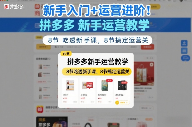 新手入门+运营进阶！拼多多新手运营教学，8节吃透新手课，8节搞定运营关-AI学习资源网